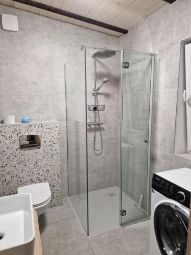Apartament Sosny 2,3 nad jeziorem OTW Borówno Wielkie (Apartament Sosny 2,3 nad jeziorem OTW Borowno Wielkie) in Skarszewy