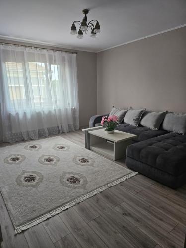 Tommy Home Tommy Home