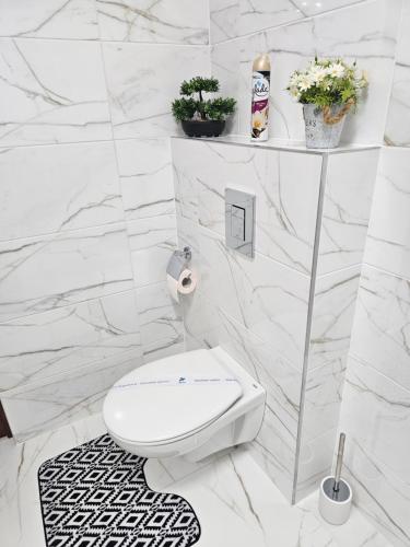 Tommy Home Tommy Home