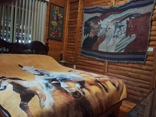 Hermosa Quinta en la Montaña - Quinta Beatriz (Hermosa Quinta en la Montana - Quinta Beatriz) in Colon