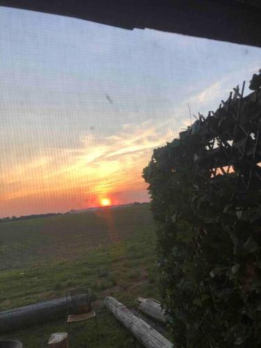 Sunset Log Cabin in Clarksdale, USA