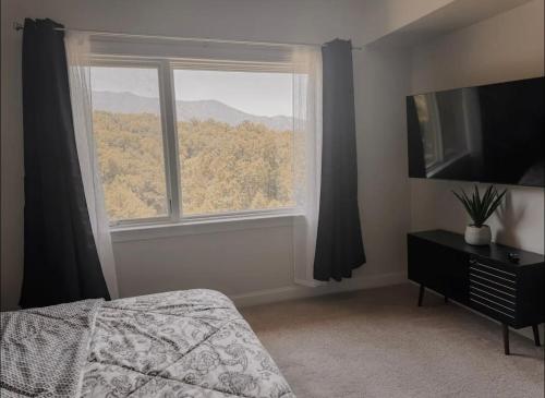 Modern Condo in the Smokies in Gatlinburg, USA