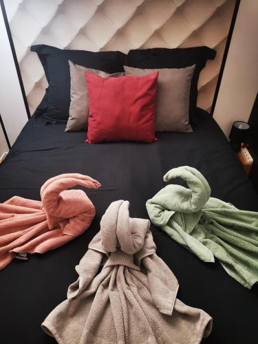Appartement chaleureux proche Disney 44m2 pour 4 pers classé 3 étoiles (Appartement chaleureux proche Disney 44m2 pour 4 pers classe 3 etoiles) in Torcy