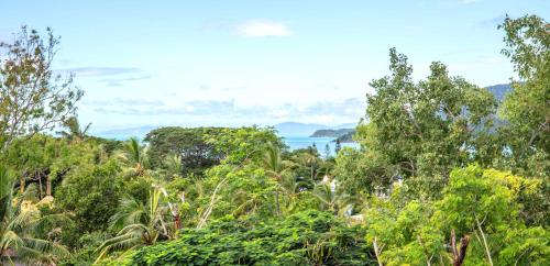 Bounce Airlie Beach in Whitsunday Islands