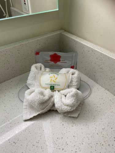 Quality Inn and Suites Goodyear - image 28