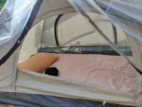 Suan's Garden Nook Suan's Garden Nook