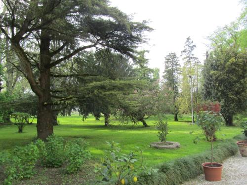 Agriturismo Villa Selvatico - image 14