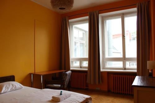 Viru Backpackers Hostel - image 6