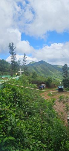 Misty Valley Yogyanta Comforts