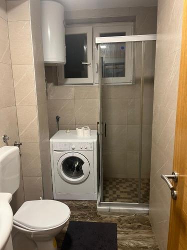 Two Bedroom Apartment - image 5