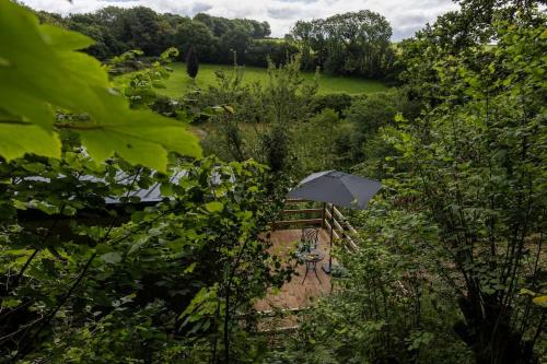 Fern Lodge Fern Lodge