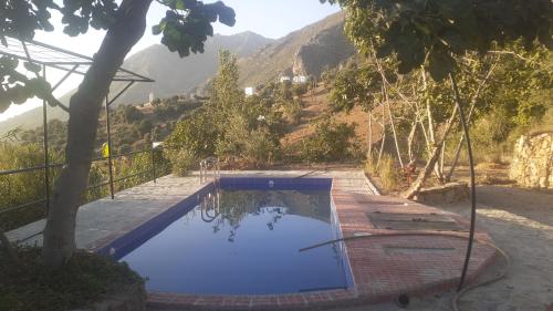 Farm Finn — other in Route de Loubar, Chefchaouene, 91000, Morocco