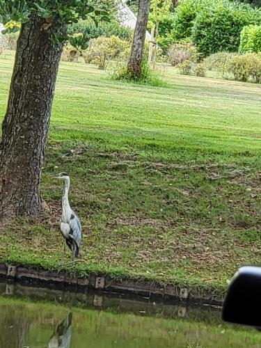 Sleepspot Wedde in Verspreide huizen in de Weddermarke