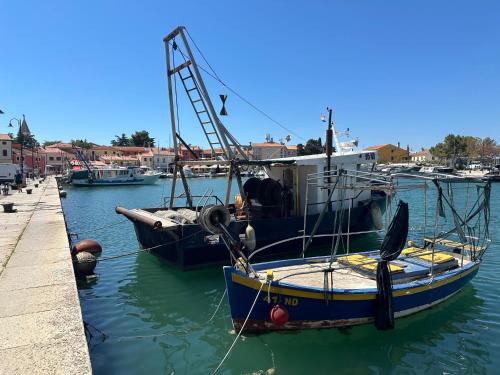 Villa Mona-Haus mit Privatpool in Novigrad mit Meerblick, privatem Parkplatz und Wallbox