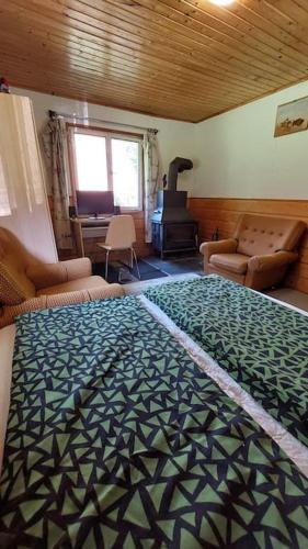 Off-Grid Cottage near river and forest! in สคูห์รอฟ แนด เบโลอู