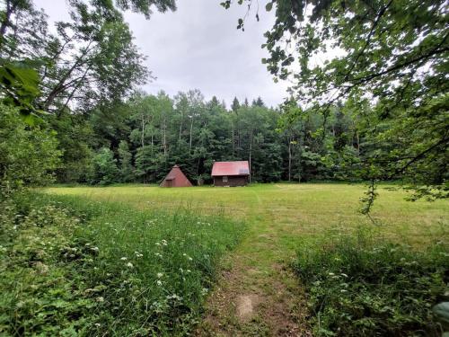 Off-Grid Cottage near river and forest! in สคูห์รอฟ แนด เบโลอู