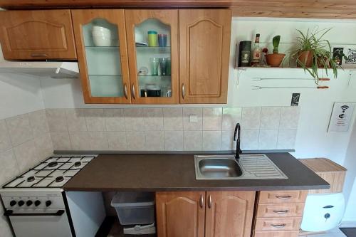 Off-Grid Cottage near river and forest! in สคูห์รอฟ แนด เบโลอู