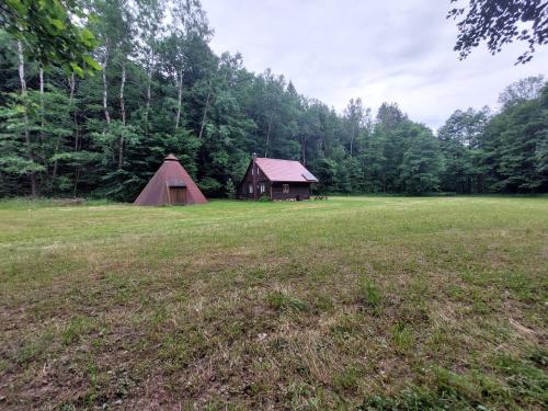 Off-Grid Cottage near river and forest! in สคูห์รอฟ แนด เบโลอู