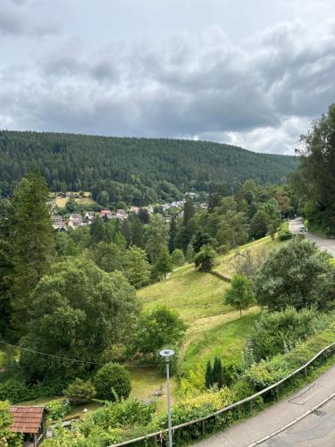 Wohn-Eitel Romantik in Bad Wildbad, Deutschland