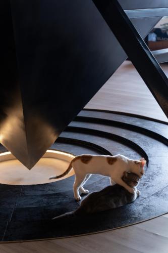 吃山02救赎青年旅店 吃山02救赎青年旅店