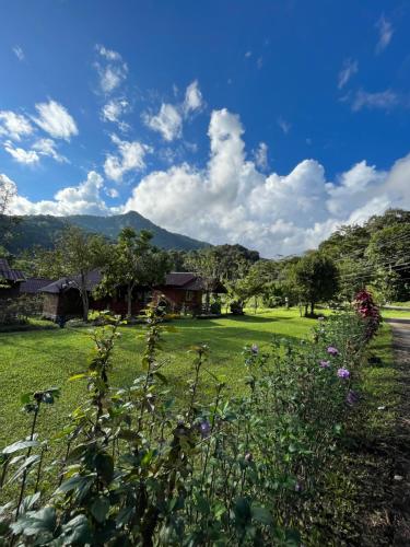 Angha forest view บ้านอุ่นรัก in Doi Inthanon