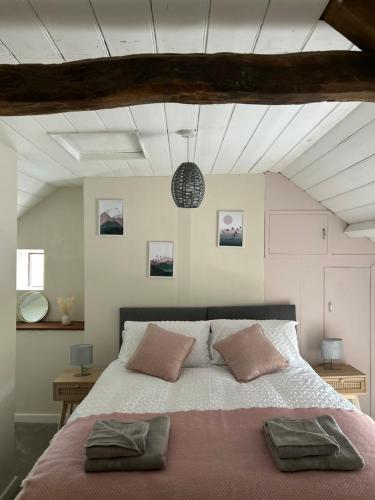 Cosy countryside cottage in 德維爾布里奇