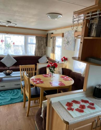 Lovley 3 bedroom Static Caravan in Clarach Bay in Clarach