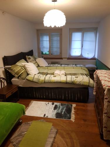  MATTER´S LODGE, Pension in Brüttisellen bei Fehraltorf