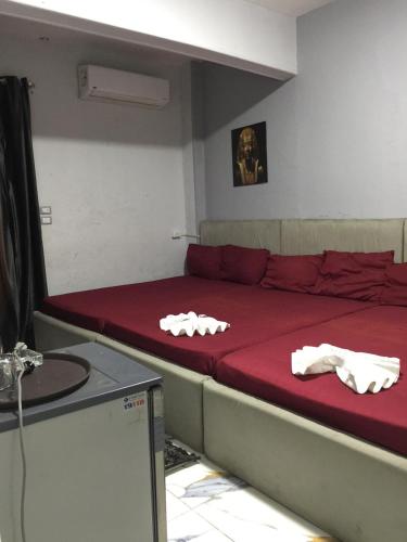 Nasr Pyramids hostel - image 11