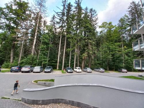 Komfortowy Apartament Orange w Szklarska Poręba, Szklarska Poręba (foto 7)
