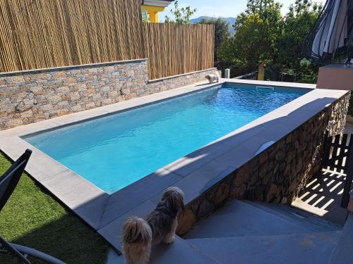 La Fontanella Apartment - Piana Battolla