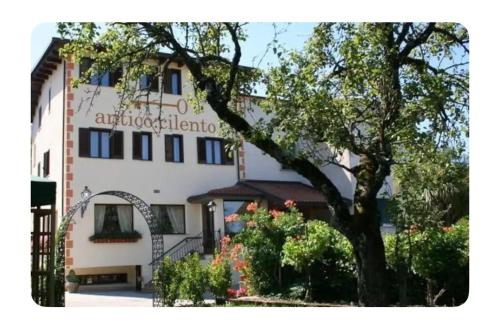 Antico Cilento chambre d'hôte Ceraso