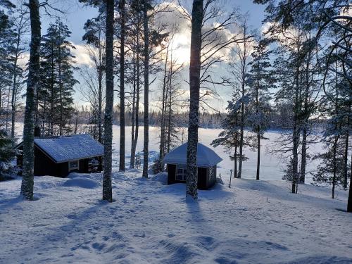 المنطقة المحيطة, Koivurannan lomamökit Koivu (Koivurannan lomamokit Koivu) in Mikkeli