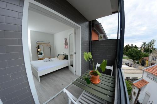 Travel and Live Apartments 2