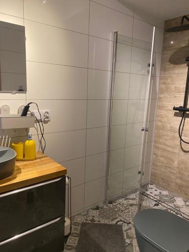Powidz Cozy Apartament in Powidz