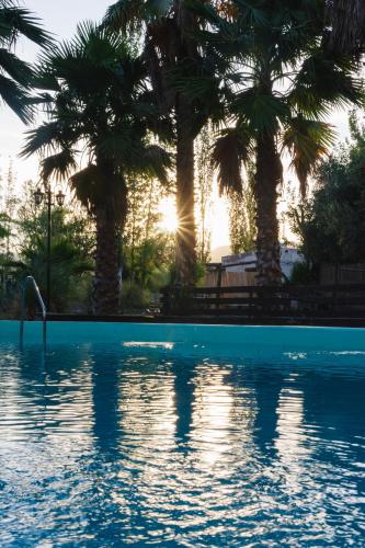 Pool, La huella Jáchal - Casas de Campo (La huella Jachal - Casas de Campo) in San Jose de Jachal