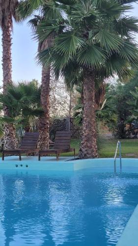 Pool, La huella Jáchal - Casas de Campo (La huella Jachal - Casas de Campo) in San Jose de Jachal