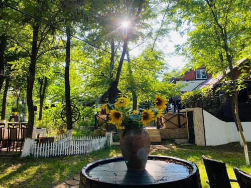 Agropensiunea La Prisaca in Orhei