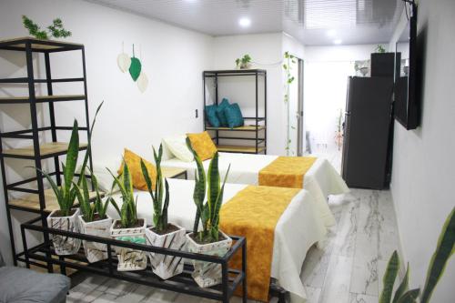 Cómodo loft en Medellín, Medellín (fotografie 10)