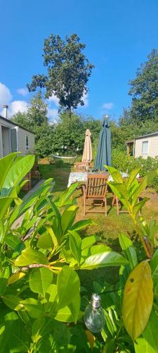 Nessy's Place (sta caravan) in Wateren