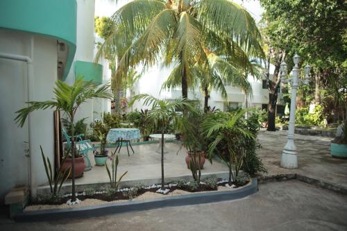 Three-Bedroom House image 7