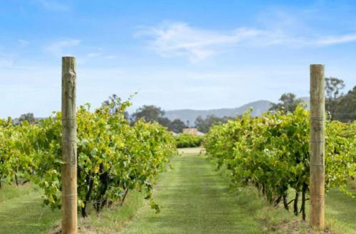 Wine Cask Studio - At the Grape Escape Retreat