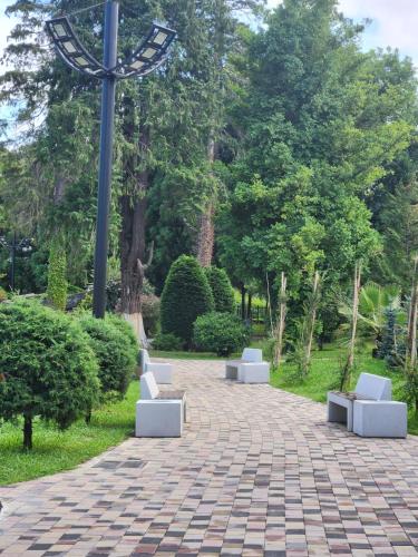 Villa in Chakvi Villa in Chakvi