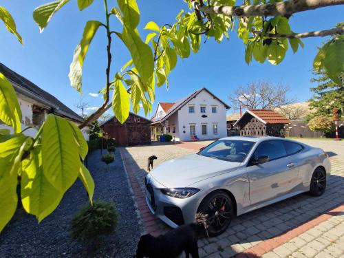 B&B Majhen in Kopacevo