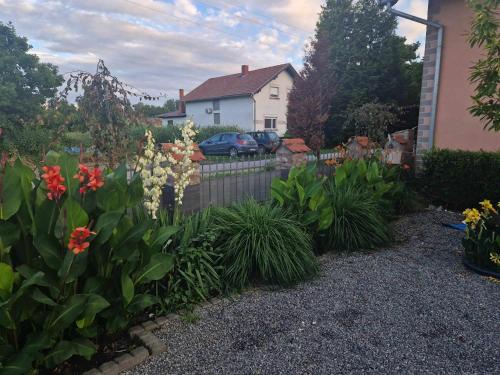 B&B Majhen - image 11
