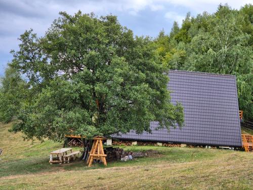 Cabana Morarilor Cabana Morarilor