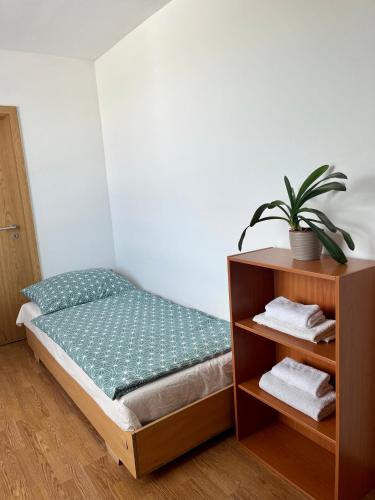 Sunny apartment near the center, Bratislava (fotografie 7)