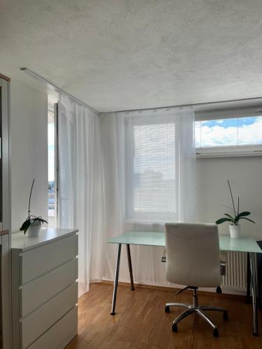 Sunny apartment near the center, Bratislava (fotografie 4)