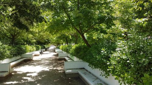 La Estación - image 13