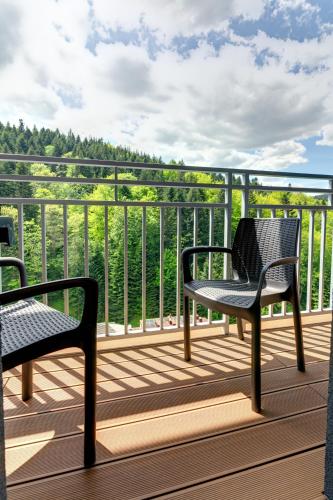 Silesia Krynica (dawny Damis Centrum Wypoczynku i Rehabilitacji) - image 7